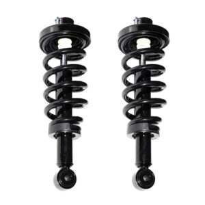 Rear Pair Complete Shocks and Coil Springs V8